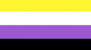 Nonbinary Flag