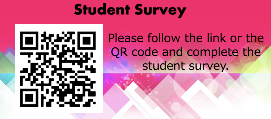 Student+Survey