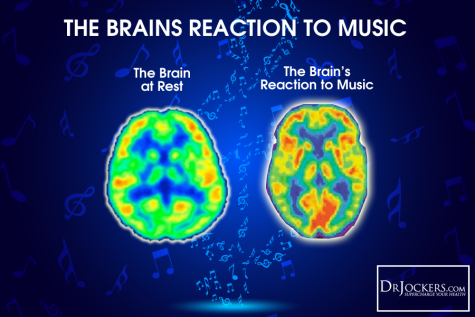 Your Brain and Music