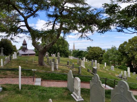 Historic cemetery at Plymouth, MA